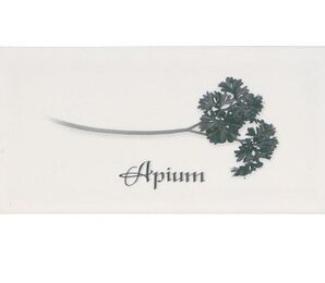 Фото Декор DECOR APIUM BLANCO 10*20 Ape Ceramica