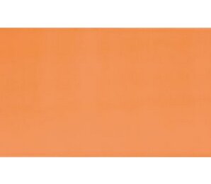 Фото AGATHA NARANJA 25x50 Pamesa Ceramica