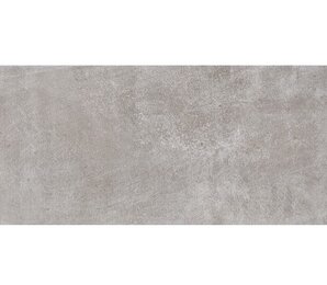 Фото ES ESSEN GRIS 20*60 Pamesa Ceramica