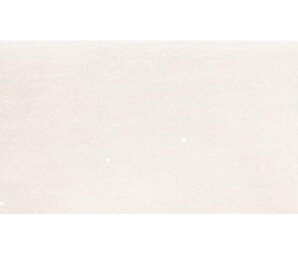 Фото ES.HELMS BLANCO 25*50 Pamesa Ceramica