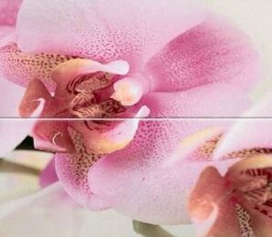 Фото Dilan Orquidea панно настенное 50x75 (из 2-х шт.) Cristacer