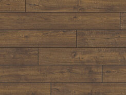 Дуб деревенский IMU1851