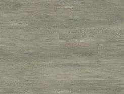 Дуб греш ASPC20242