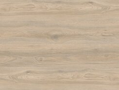 Дуб Кедровый IMU8467