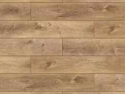 Дуб северный коричневый CSPC20299