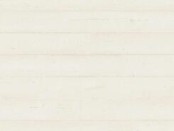Дуб белый крашеный SIU4753
