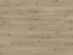 Морской бриз теплый тауп SGSPC20318