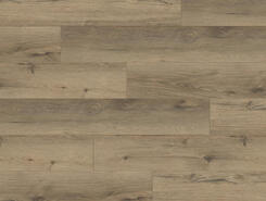 Дуб натуральный темный ASPC20247