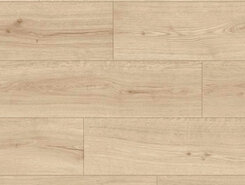 Дуб Песчаный берег IMU8602