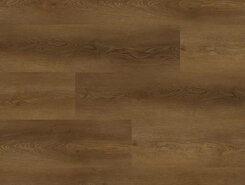 Дуб прибрежный OSPC20265