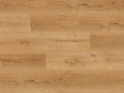 Дуб пустынный OSPC20264