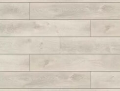 Дуб северный серый CSPC20295