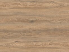 Дуб Скалистый IMU8466