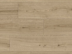 Дуб Субтропический IMU8603
