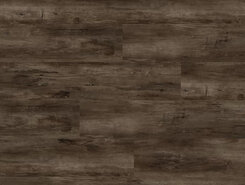 Дуб тенистый OSPC20261