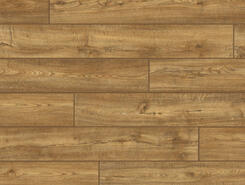 Дуб южный IMU1994