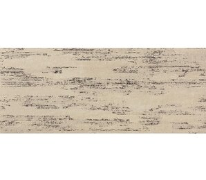 Фото Raw Sand Gold 50x120 +34748 atlas-concorde-italy