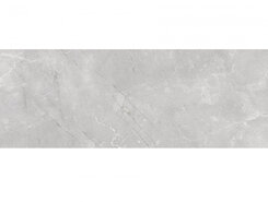 Плитка Braga Grey Rett 25x75