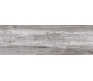 Фото NAUTILUS Gris Porc. 24x88 Halcon