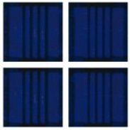 Фото S47 Rose Mosaic