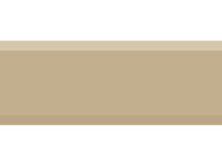 Плитка Coffee Gold Biselado Brillo Beige 10x30