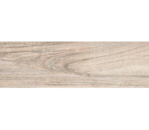 Фото Trinidad R 20x114 Absolut Keramika