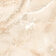 Orcal Onyx Brown 120х60 фото4
