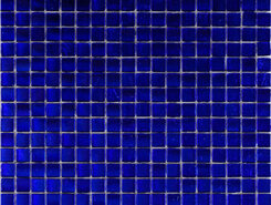 BS61