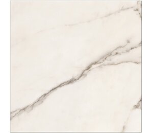 Фото Chevron 60x60 (1,44) realistik