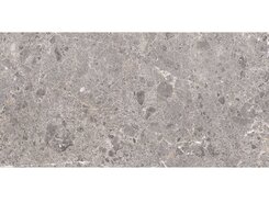 Artic Gris Natural 60x120