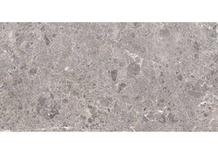 Artic Gris Pulido 59x119