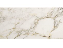 Плитка Calacatta Gold Sq. 120x60