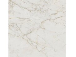 Плитка ROMA GOLD 120X120 CALACATTA DELICATO BRILL