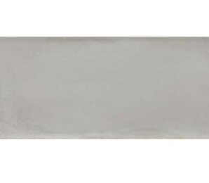 Фото Camargue Gris 20x50 Argenta Ceramica