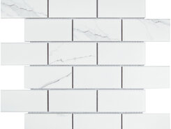 Brick Carrara Matt (PMB82223) 291х295х6