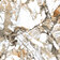makarani beige 2400x800x15мм polished фото3