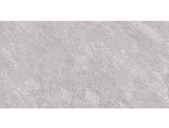 Quartz Light Grey 2 cm 60x120 n173621
