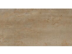 Плитка Rhodium Brass 60x120 n149397