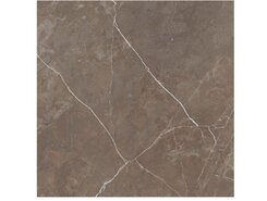 Плитка Detroit Brown 60x60 Polished