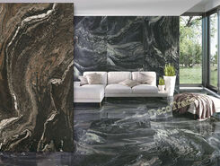 Galery
