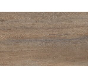 Фото Amazon Wood Natural 60x120 Matt staro