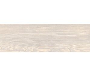 Фото Polo Bianco 20x120 Matt staro