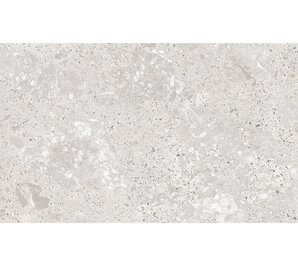 Фото Roma Gris Carving Satin 60x120 staro