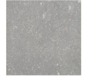Фото Ardenne Grigio 20x20 n145770 Cir