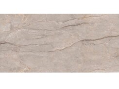 Monaco Grey carving 60x120 n179652