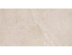 Плитка New Stone Daino 60x120 n179308
