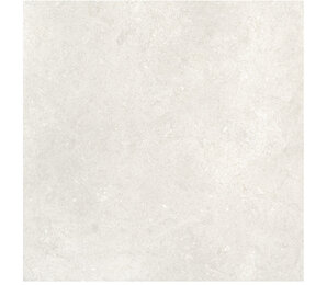 Фото Serica Bone 120x120 n178242 Dado Ceramica