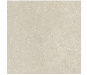 Фото Shellstone Beige 120x120 n178252 Dado Ceramica