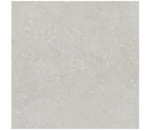 Фото Shellstone Bianco 120x120 n178251 Dado Ceramica
