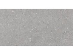 Плитка Shellstone Grigio 60x120 n163204